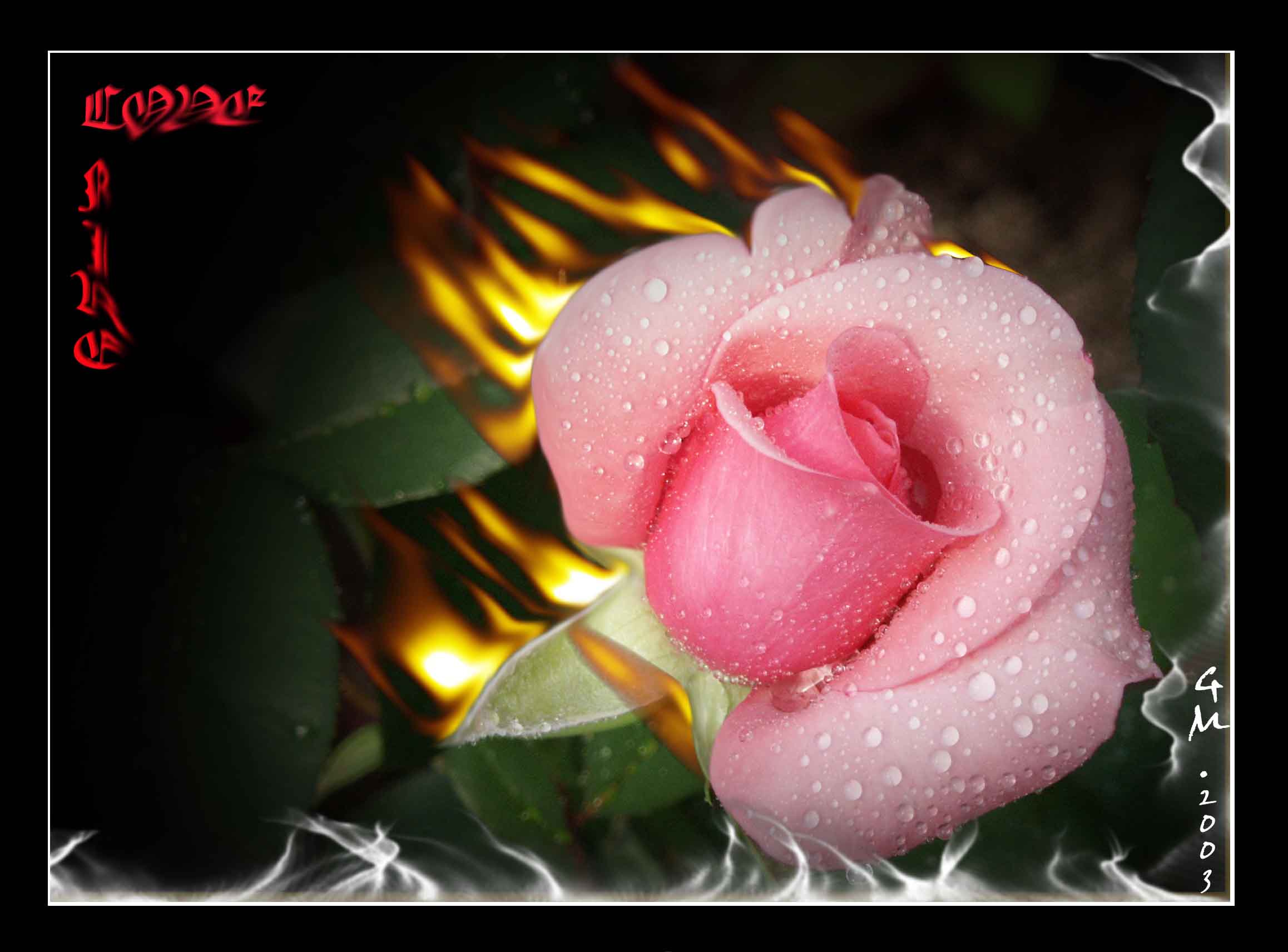 Love fire