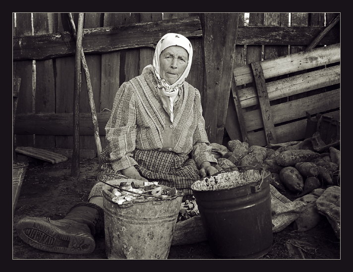 Буряки (2)