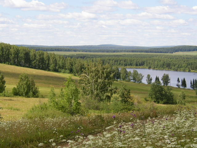 Природы красота меня очаровала