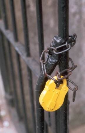 желтое на черном