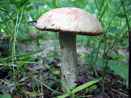 Это все мое!