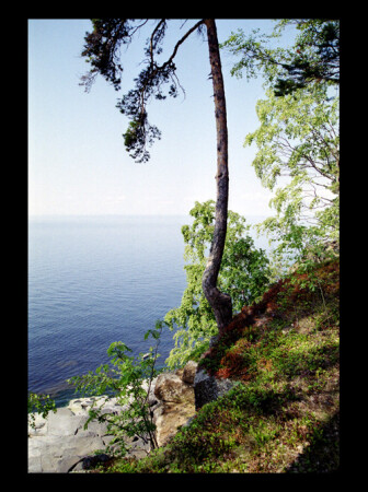 Валаам. Берег.