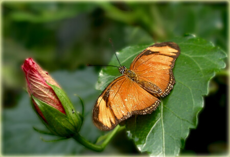 &quot; к взлету готов! &quot;