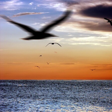 У края синего моря.