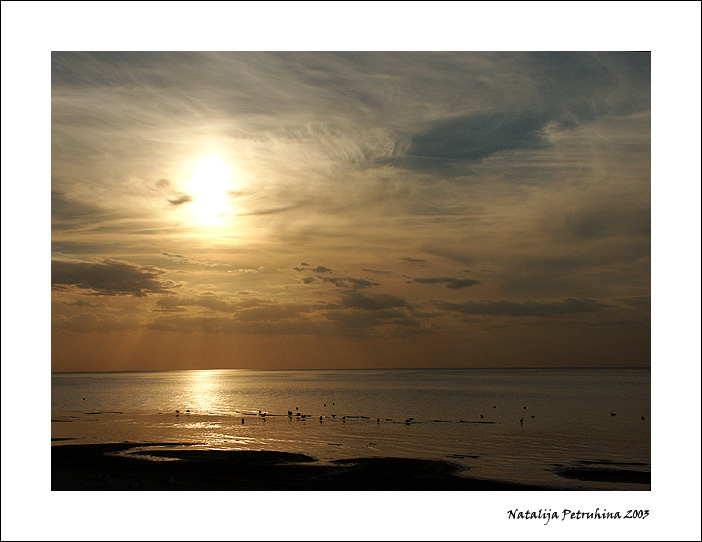 Sunset Scene With Seagulls