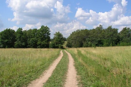 Одинокая дорога