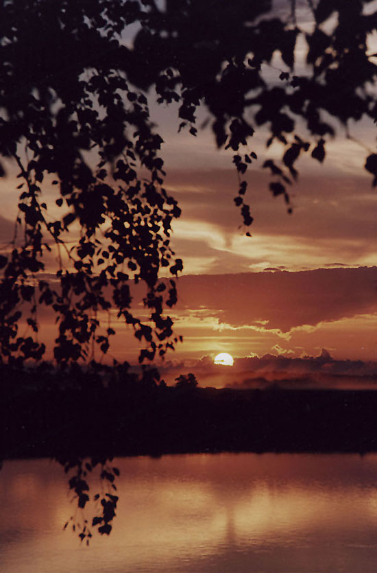 Ока2003(3)