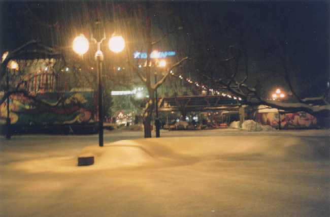 winter lights