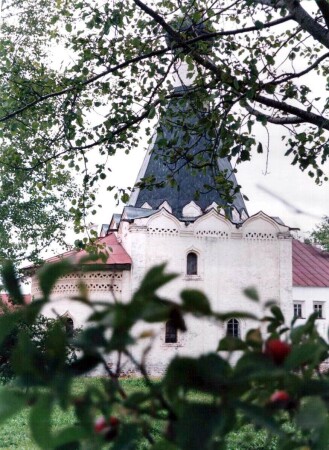 шиповник созревает - тоску навевает