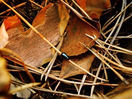 Держи меня соломинка 2