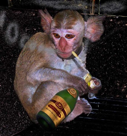 Деградация личности