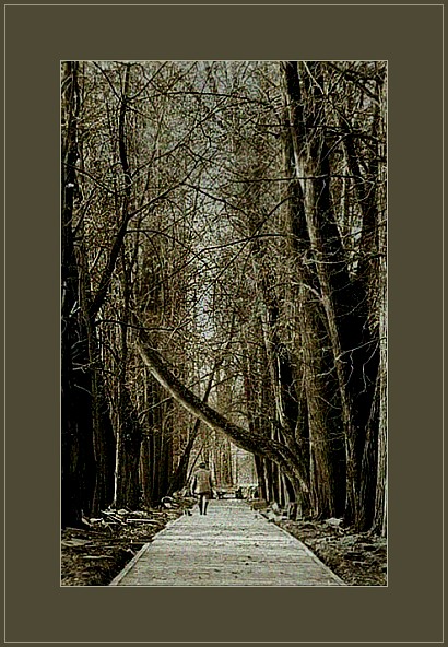 Алея