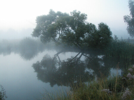 Зазеркалье.