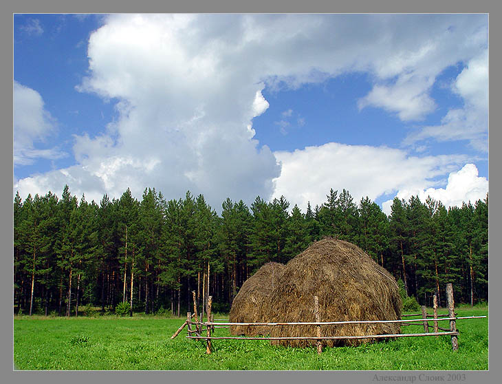 Накосили