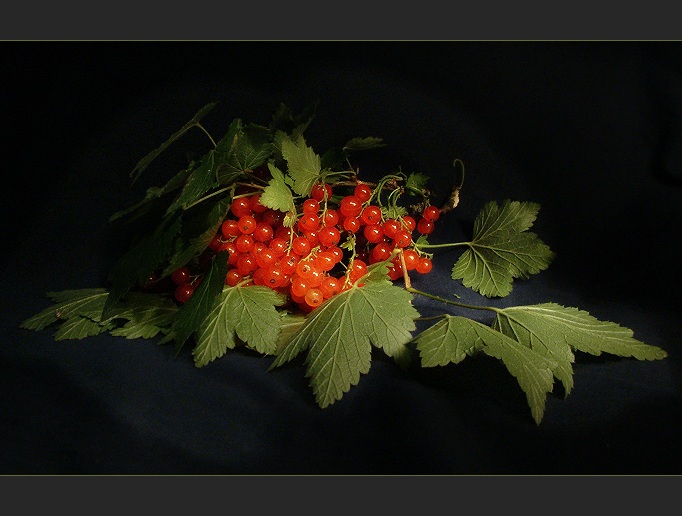 Вкуснота и темнота.