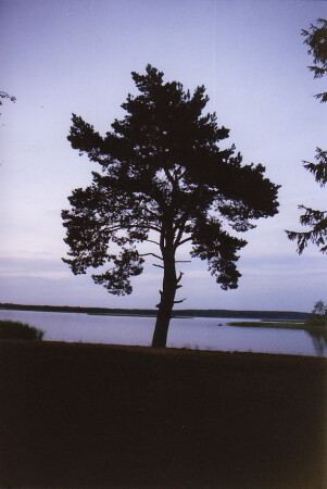 Озеро Селигер. Вечер.