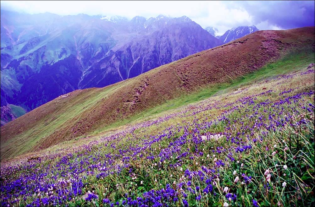 Лучше гор -- только горы