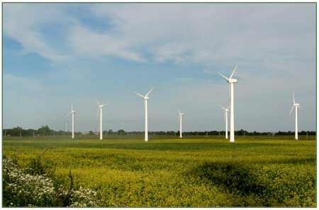 Here the wind lives...