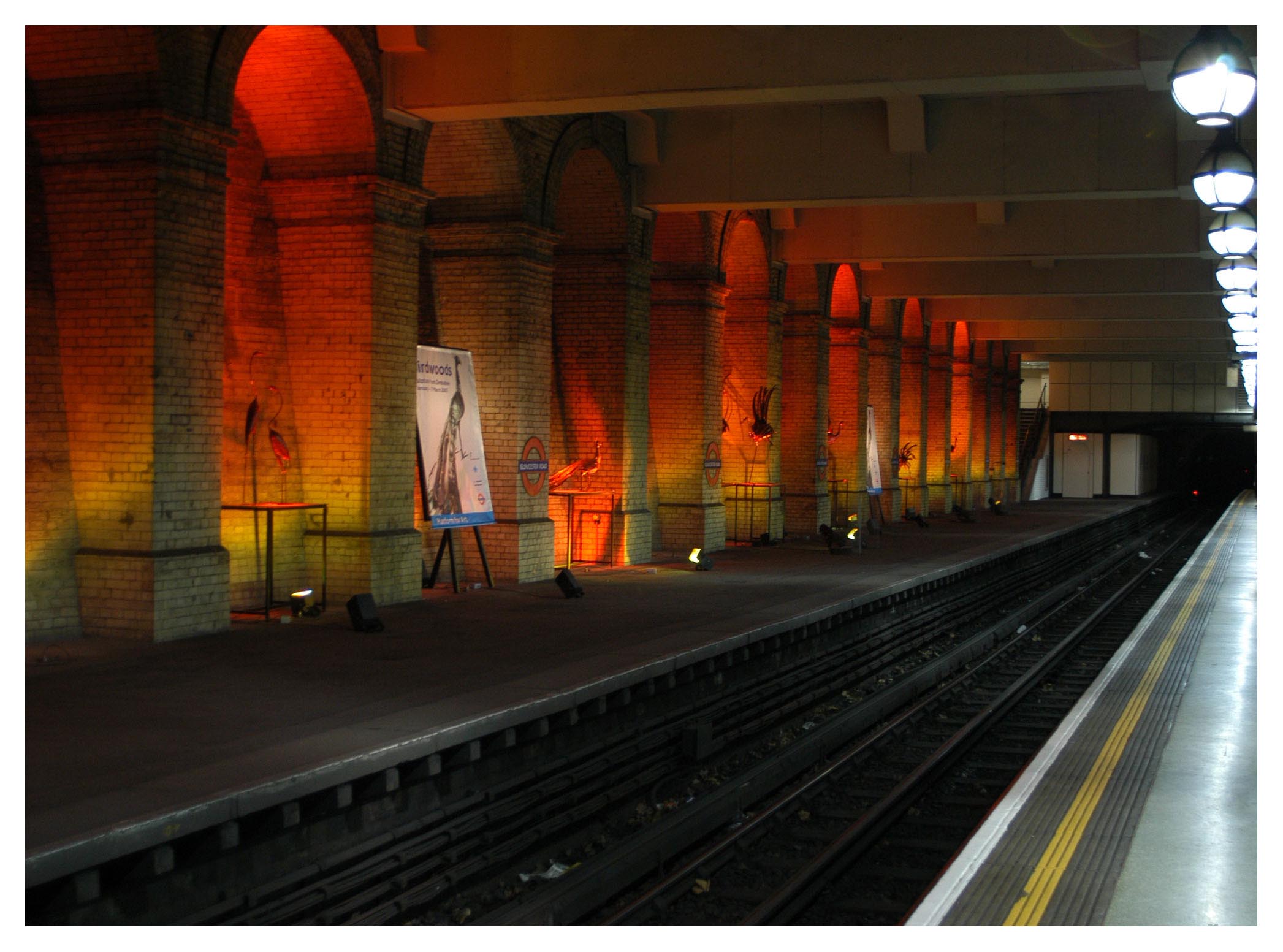 Station of birds