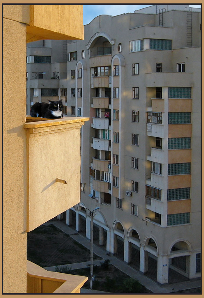 Один дома