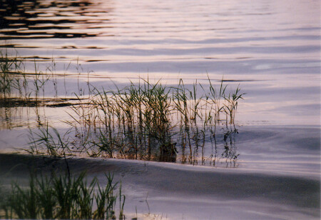 Волны Селигера.