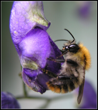 Ни за что не отпущу!