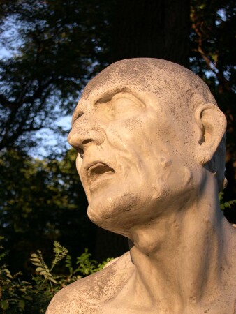 Мужчина в лучах заходящего летнего солнца