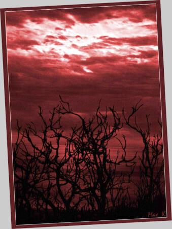 черные щупальца моря...