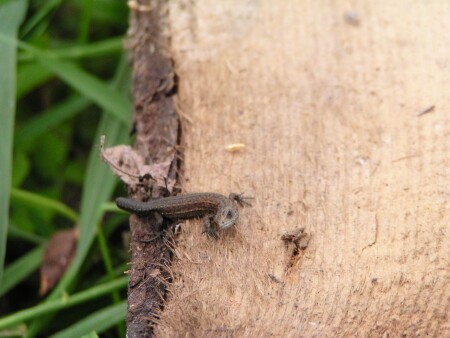 Это что за аппарат!