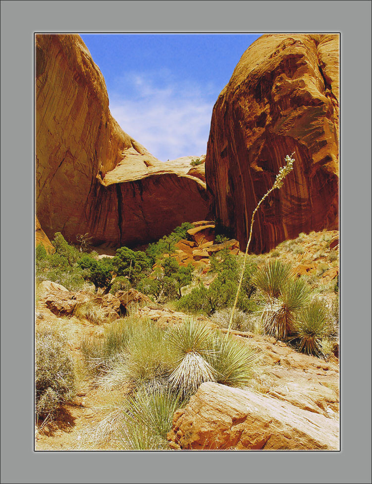 Lake Powell Canyons