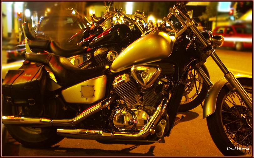 bikes
