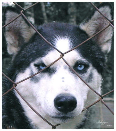 Взгляд [Телецкое]