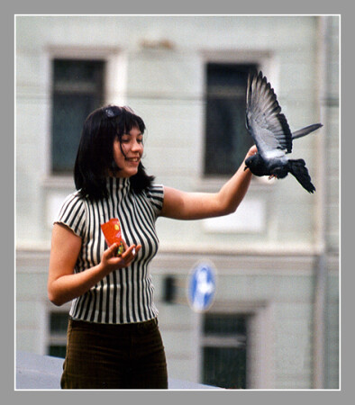 Ловля голубей и девушек