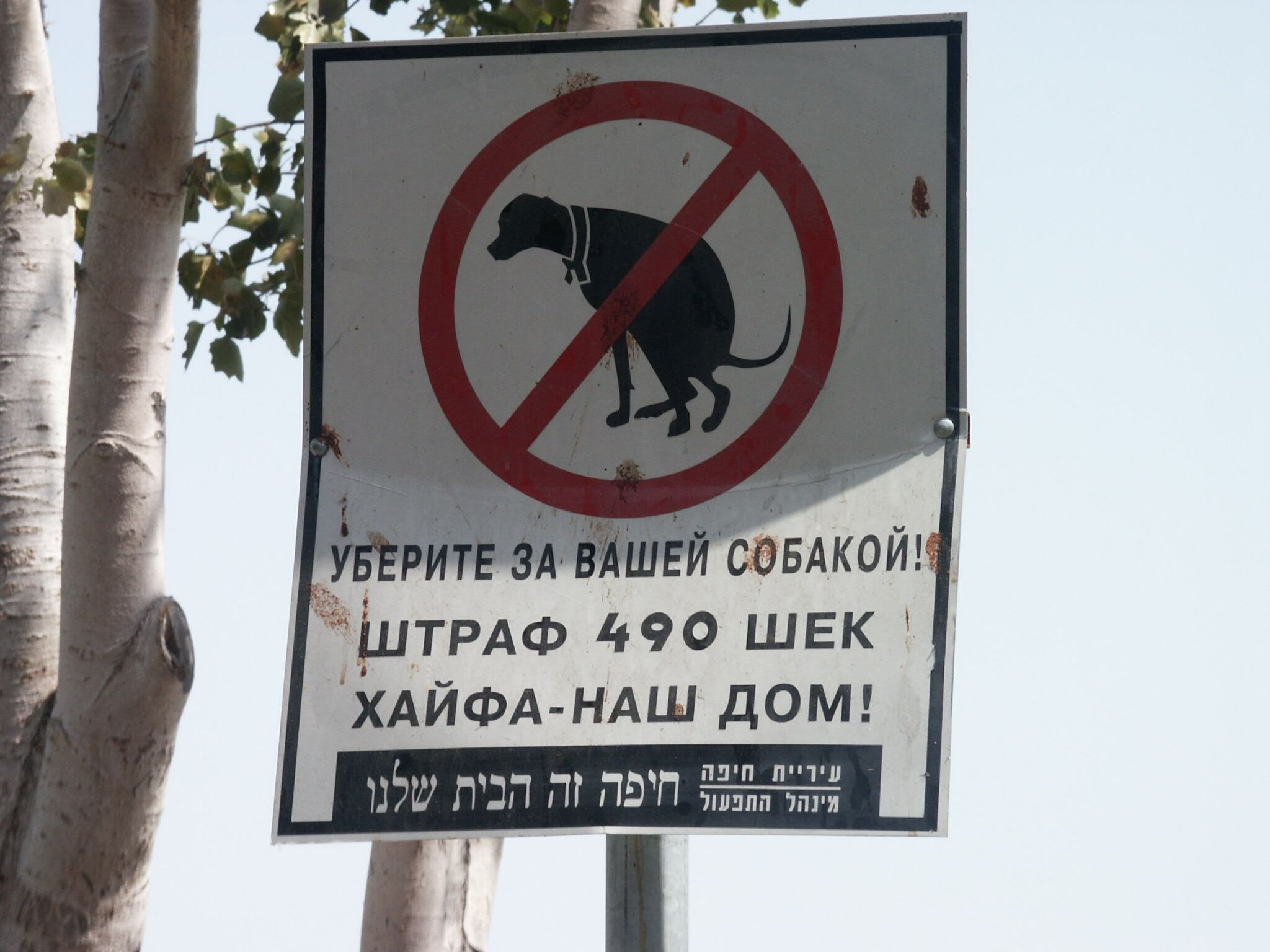 НАШ ДОМ :)))