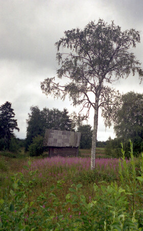 Охотничий домик