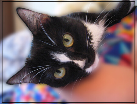 Сладкая истома