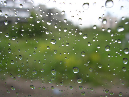 После дождя