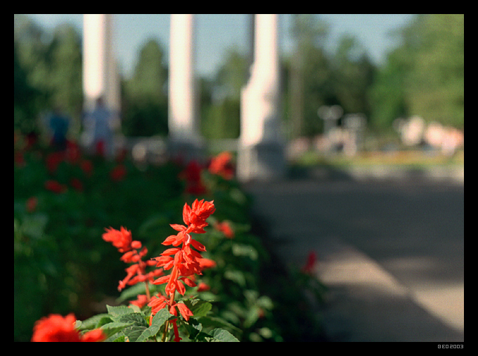 В парке (Орел. Путевые заметки)