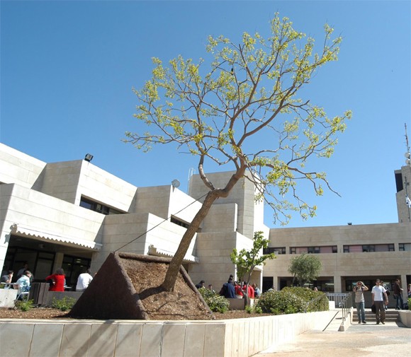 titled tree