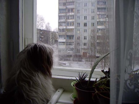 Ушла хозяйка...