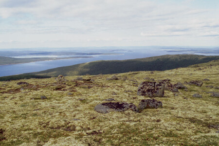 И еще тундра :-)