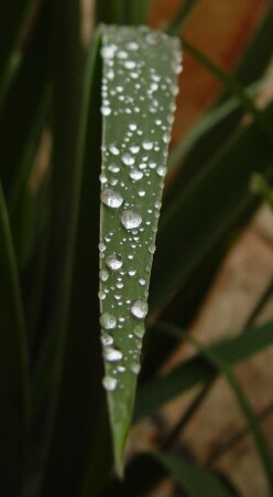 Бриллианты навсегда!