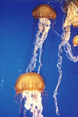 Приземлился