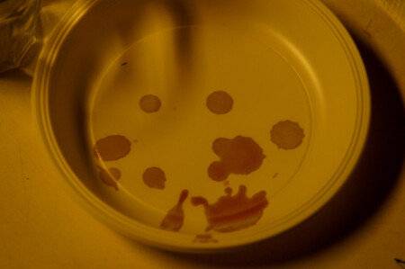 Смерть многоглаза