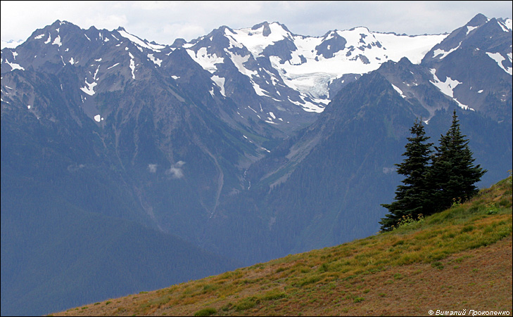 Hurricane Ridge