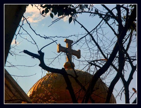 без названия