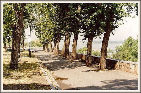 Летние аллеи в Самаре