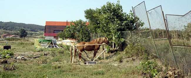 Школа фотографии. Урок 2