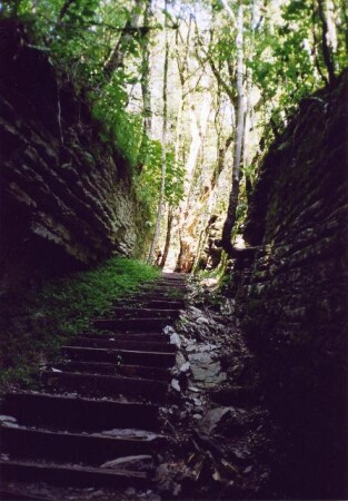 Свет в конце...