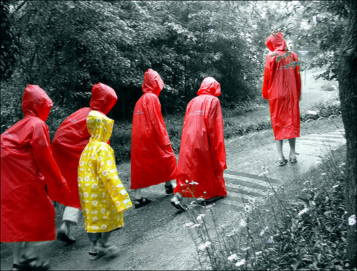 Be the REDS!
